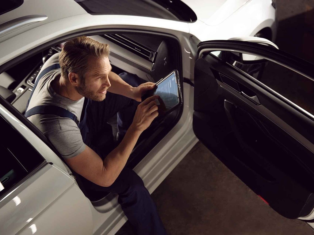 Servizio di Revisione